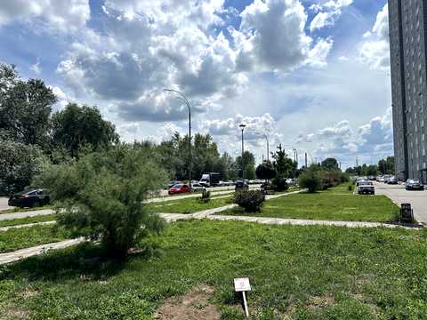 комерційна за адресою Ревуцького вул., 54