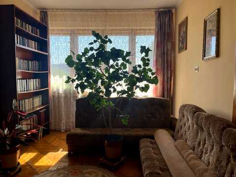 будинок за адресою Тисянська вул., 5