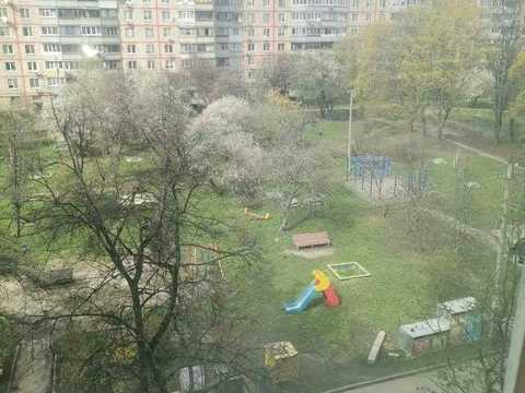 квартира за адресою Салтівське шосе, 256а