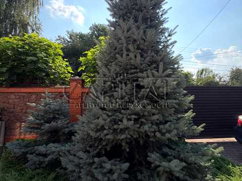 дом по адресу Полевая ул.