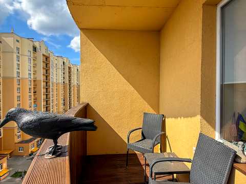 квартира по адресу Валерия Лобановского ул., 31