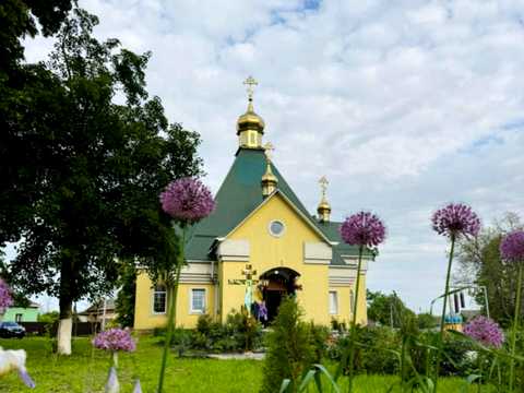 ділянка за адресою Довга, 47