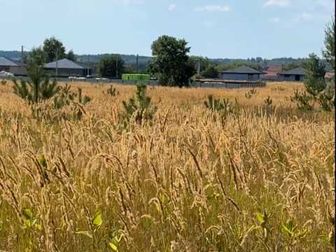 ділянка за адресою Тарасівська