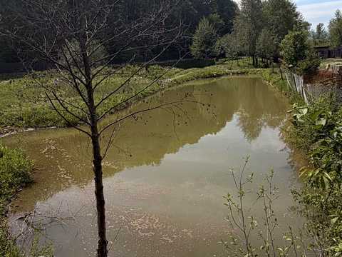 будинок за адресою Трачів