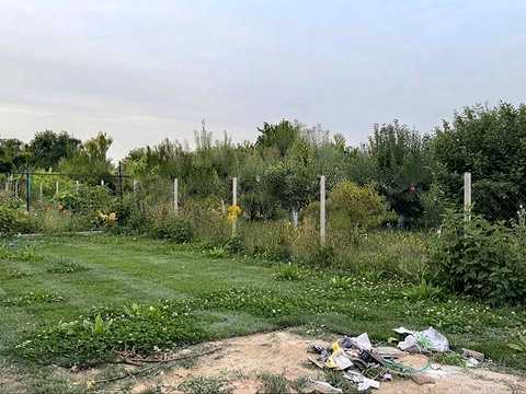 будинок за адресою Польова, 74