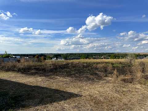 ділянка за адресою с. Братське, Ореховая, 21
