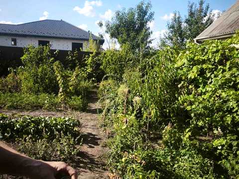 будинок за адресою Київська вул., 16-а