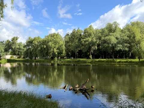 квартира за адресою Юності вул., 3
