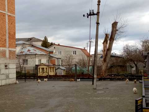 коммерческая по адресу Крушельицької, 2