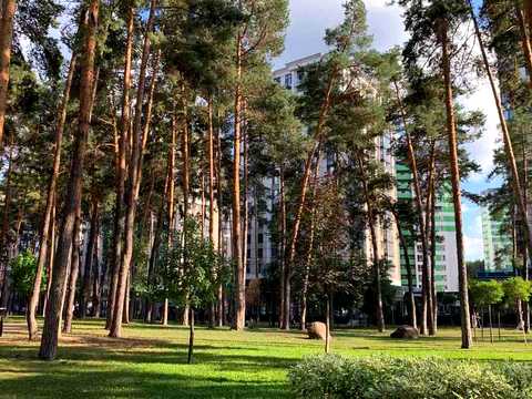 квартира по адресу Университетская ул., 3/6