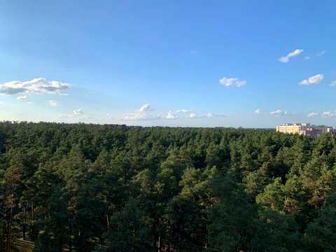 квартира по адресу Университетская ул., 3/6