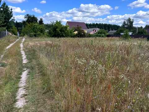 ділянка за адресою Лісовий
