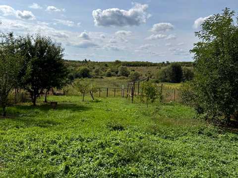 дом по адресу с. Грушка, Царинка, 48