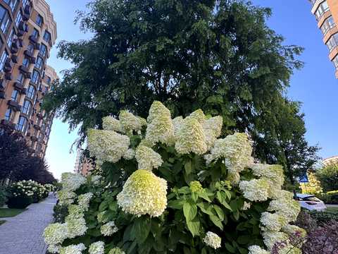 квартира за адресою Мартинова просп., 16