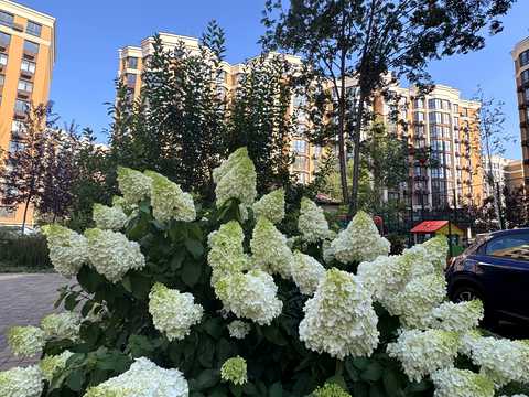 квартира за адресою Мартинова просп., 16