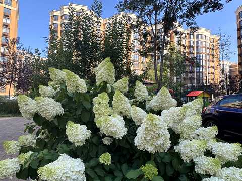 квартира за адресою Мартинова просп., 16