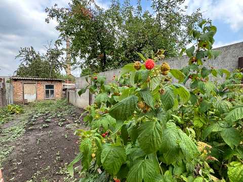 дом по адресу Гмырева ул. (Гмирьова), 53/41