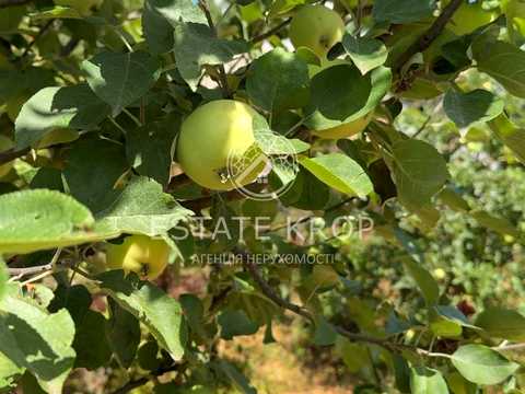 будинок за адресою Кропивницький, Лелеківська вул., 46