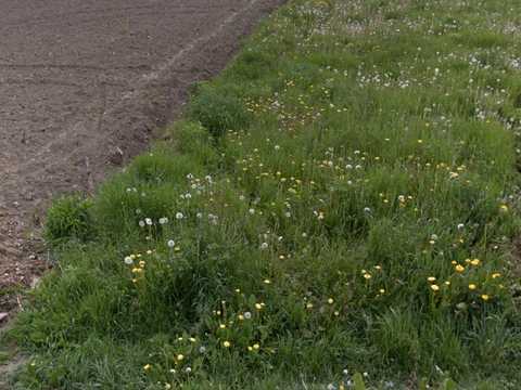 участок по адресу Урочища Пастовні