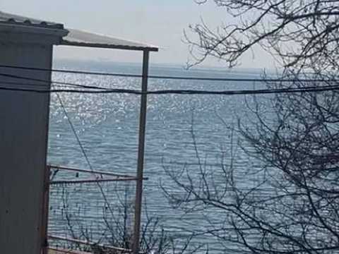 дом по адресу Причал, 218
