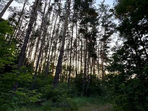 ділянка за адресою Селянська вул. (7 лінія)