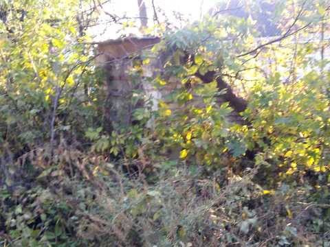 участок по адресу с. Ольшанская Новоселица, Лесі Українки, 33