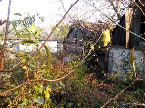 участок по адресу с. Ольшанская Новоселица, Лесі Українки, 33
