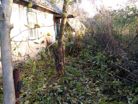 участок по адресу с. Ольшанская Новоселица, Лесі Українки, 33
