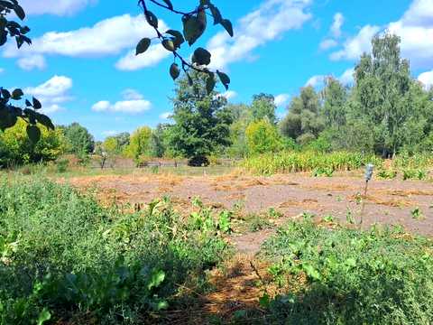 дом по адресу 1 травня, 237