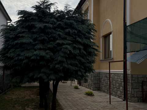 будинок за адресою Загорська вул.