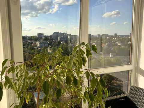квартира за адресою Княгині Ольги вул., 100-Ж