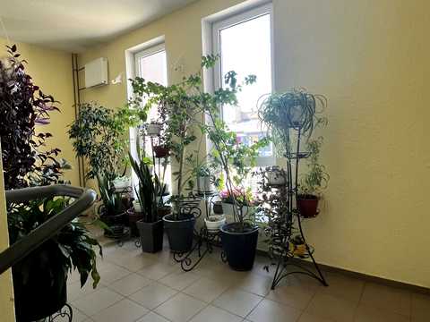 квартира за адресою Метрологічна вул., 54-А