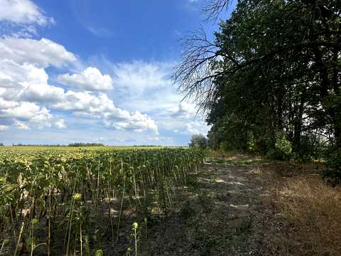 ділянка за адресою 