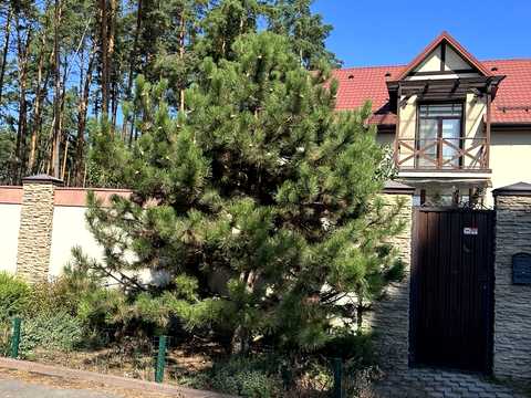 будинок за адресою Патріотів вул.