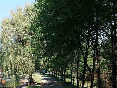 комерційна за адресою с. Теребля, Волошина, 96