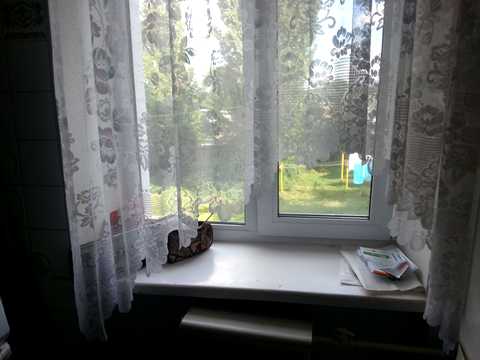 кімната за адресою Науки просп., 33