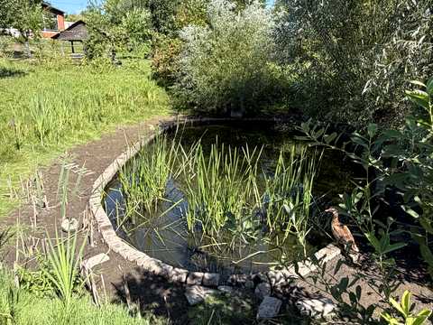 дом по адресу Вишнева ул., 34