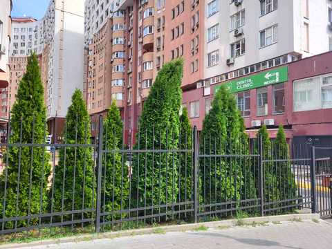 коммерческая по адресу Федора Эрнста ул., (Будинок 2)