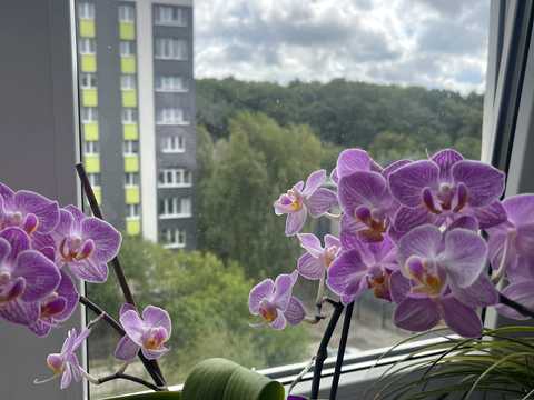квартира за адресою Гната Хоткевича вул., 56