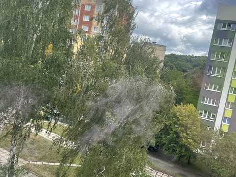 квартира за адресою Гната Хоткевича вул., 56