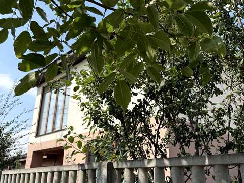 будинок за адресою Петропавлівська