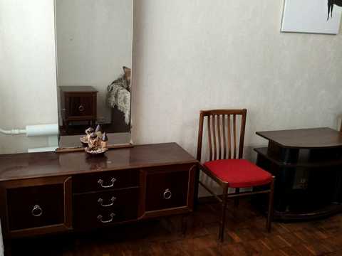 квартира за адресою Патріарха Мстислава Скрипника вул. (Миколи Островського), 9