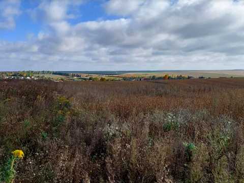 ділянка за адресою с. Байківці, Гаї Ходорівські