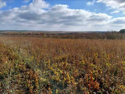 ділянка за адресою с. Байківці, Гаї Ходорівські