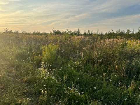 ділянка за адресою с. Байківці, 