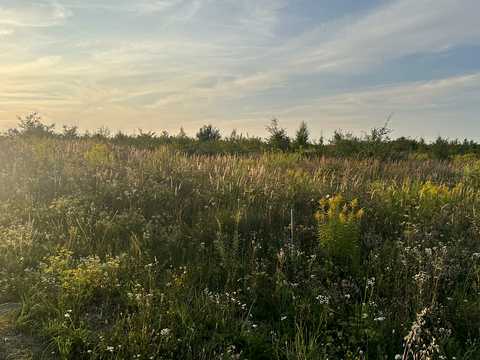ділянка за адресою с. Байківці, 