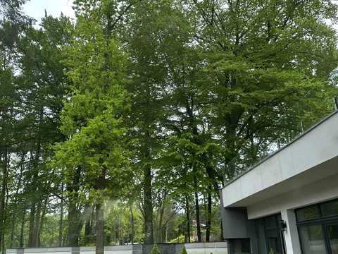 дом по адресу Довбуша., 8