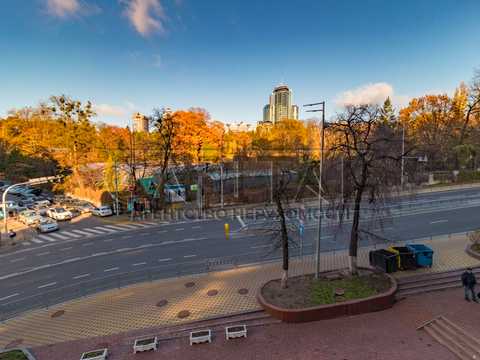 комерційна за адресою Гетьмана Павла Скоропадського вул. (Толстого), 39