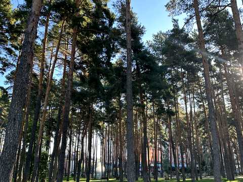 квартира по адресу Университетская ул., 3/9