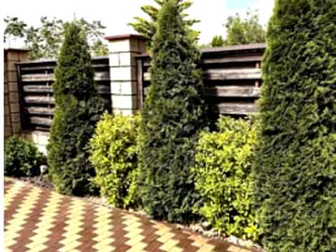 дом по адресу Жолио Кюри ул., 34